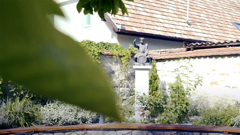 tokajkert