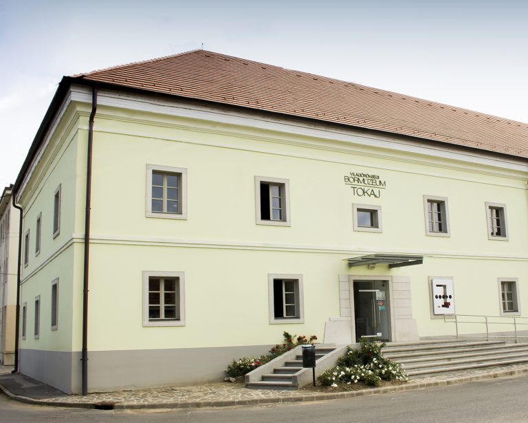 Világörökségi Bormúzeum, Tokaj