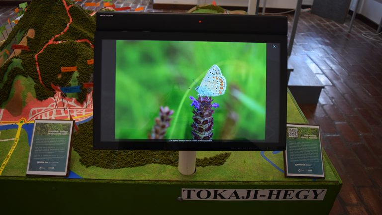 Tokajimuzeum_klimavaltozas_1