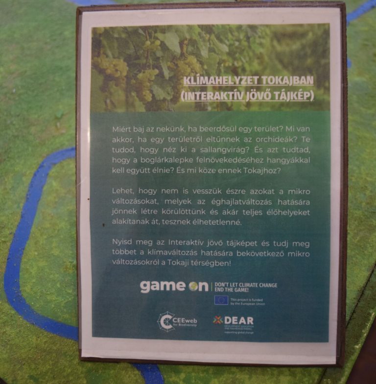 boraszat es klima_2